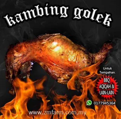 Makan daging kambing pening kepala…kenapa ek?