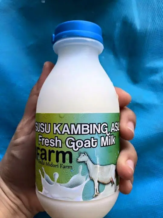 Cara Minum Susu Kambing Asli (Frozen/Beku) ZMFarm