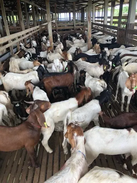 Promosi sempena Hari Raya Haji 2018…