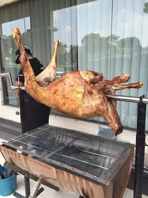 Kambing Golek di Cahaya Jauhar