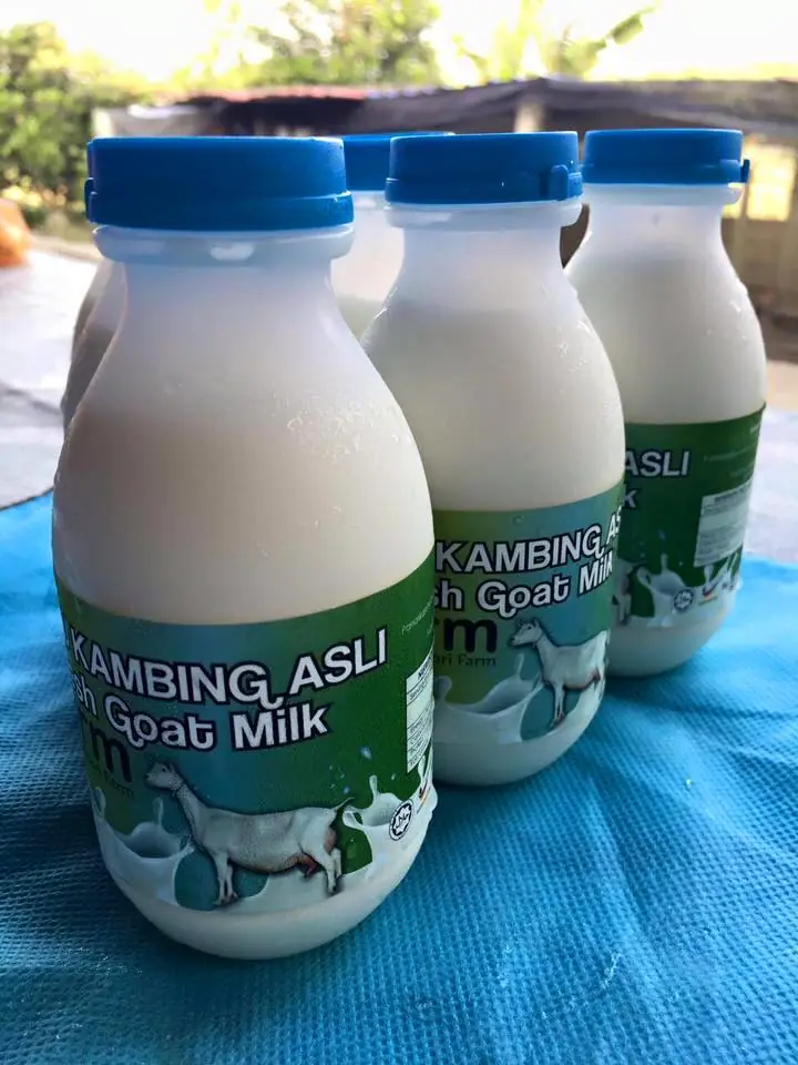 Agen Susu Kambing ZMFarm