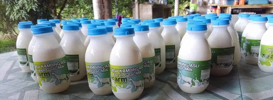 Khasiat Susu Kambing Asli ZMFarm