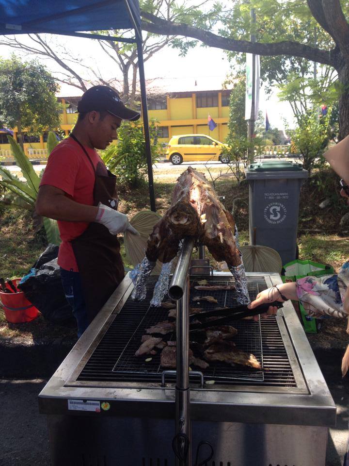 Kambing Aqiqah